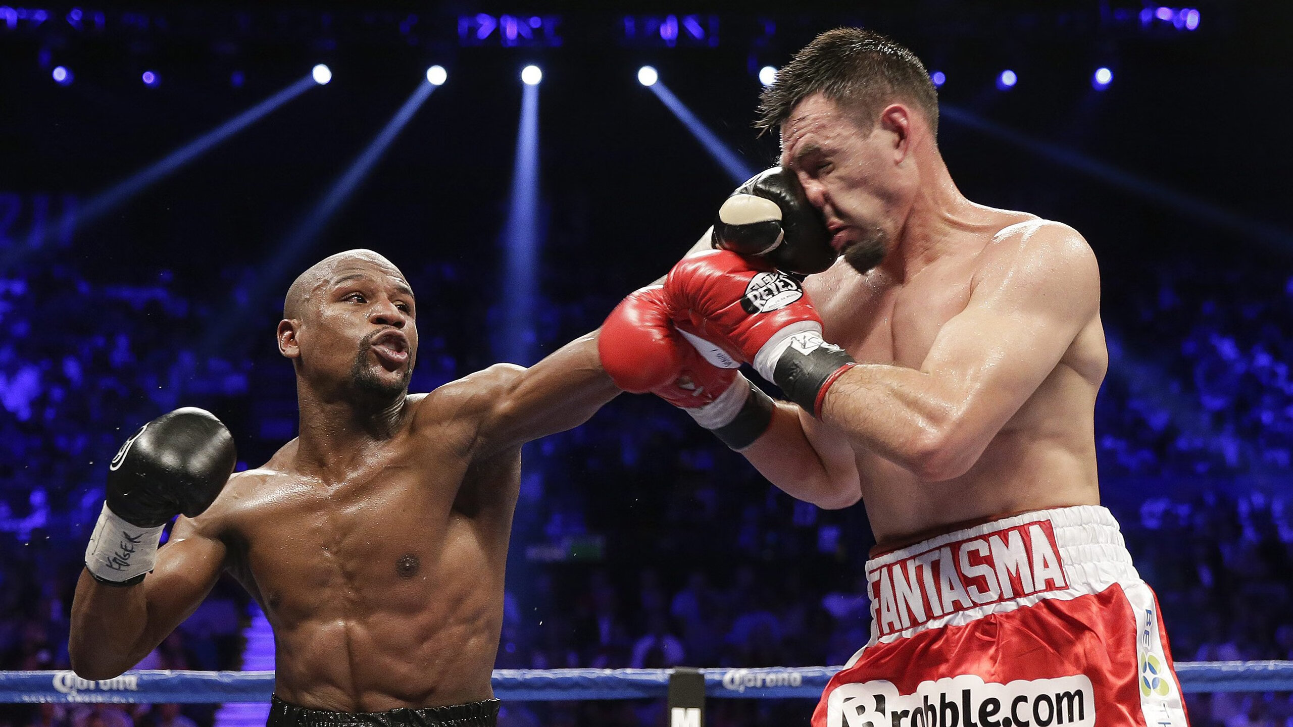 观众席上的欢呼声，展现运动激情，观众们的欢呼声